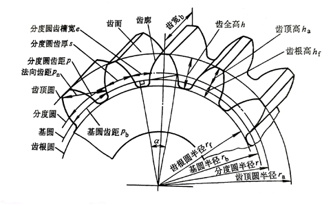 標(biāo)準直齒輪外部結(jié)構(gòu)圖.jpg